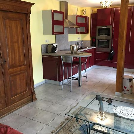 Les Menetriers Appartement Ribeauvillé Buitenkant foto