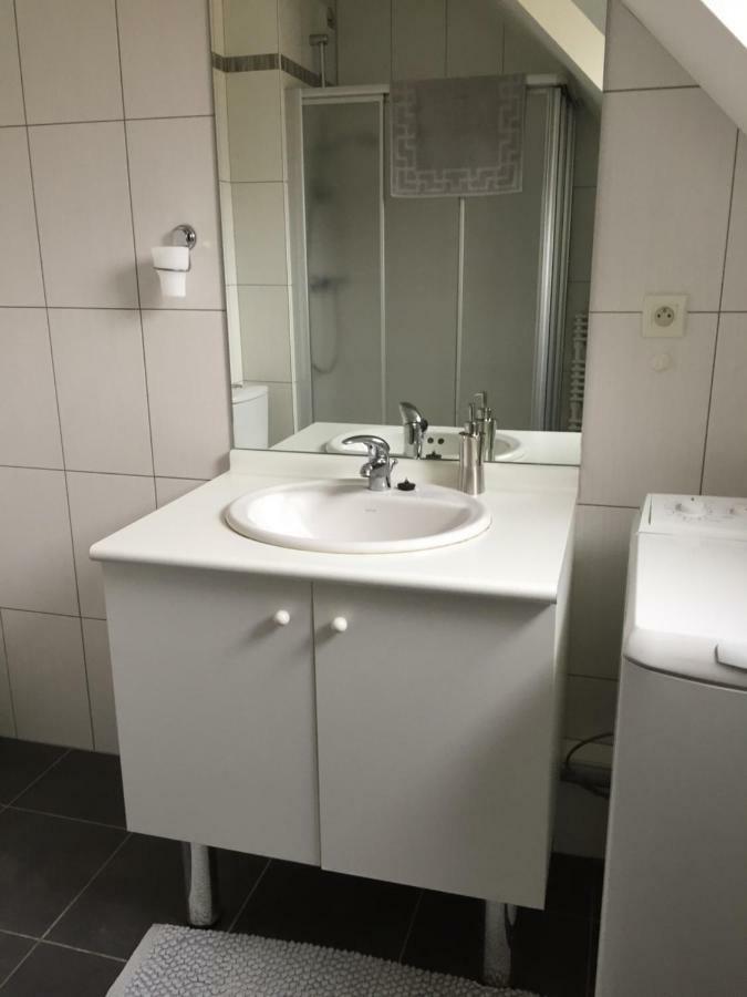 Les Menetriers Appartement Ribeauvillé Buitenkant foto