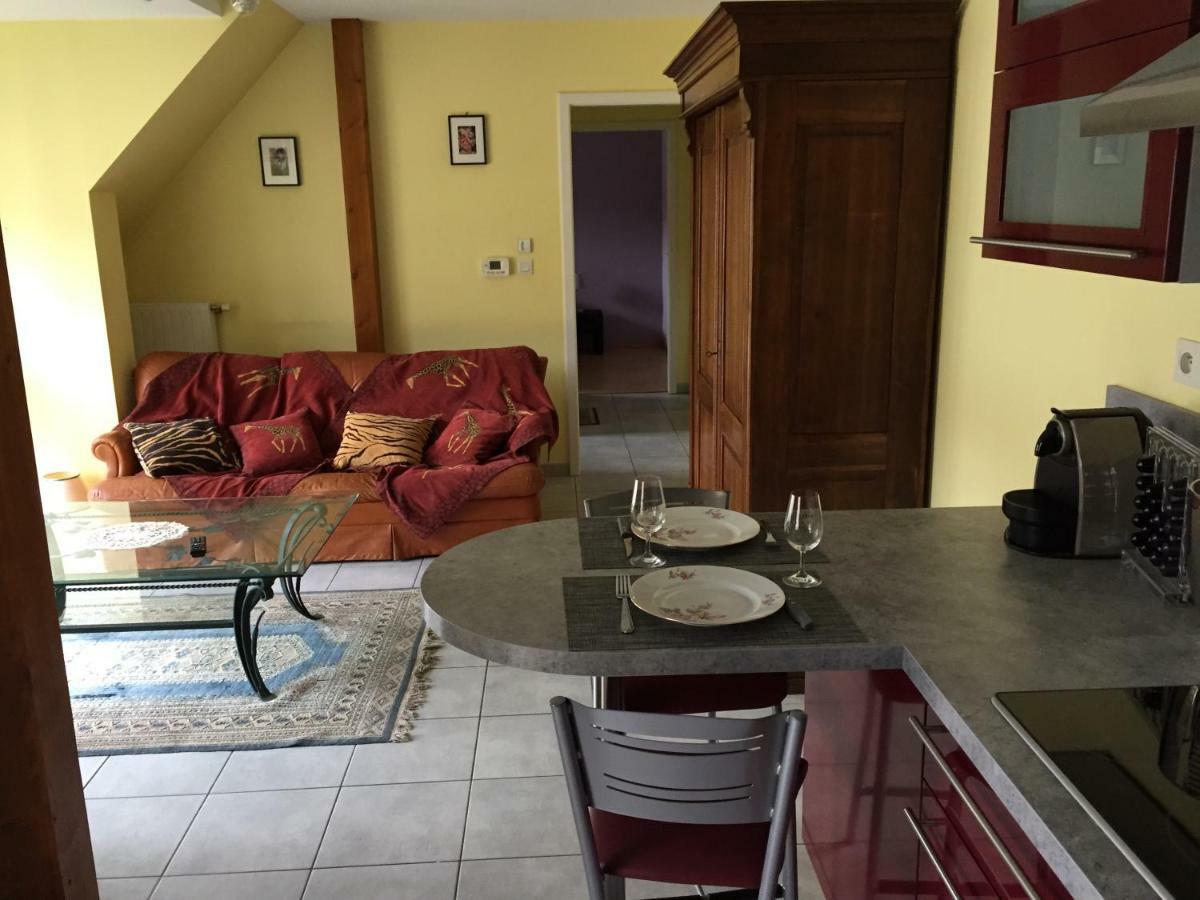Les Menetriers Appartement Ribeauvillé Buitenkant foto