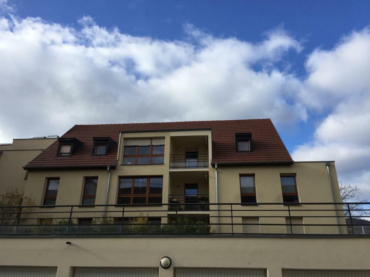 Les Menetriers Appartement Ribeauvillé Buitenkant foto